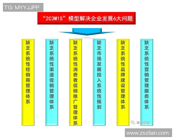 深入分析上海排球队的运营策略与市场推广模式